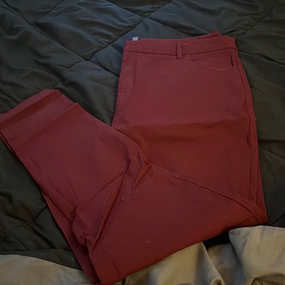 Women dress pants. Never worn